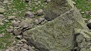 45 Io, marmotta al maxi-zoom, sto sicura sulla cima del macigno !